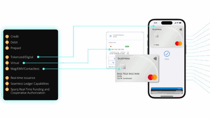 Virtual Cards for lending disbursements meet various needs